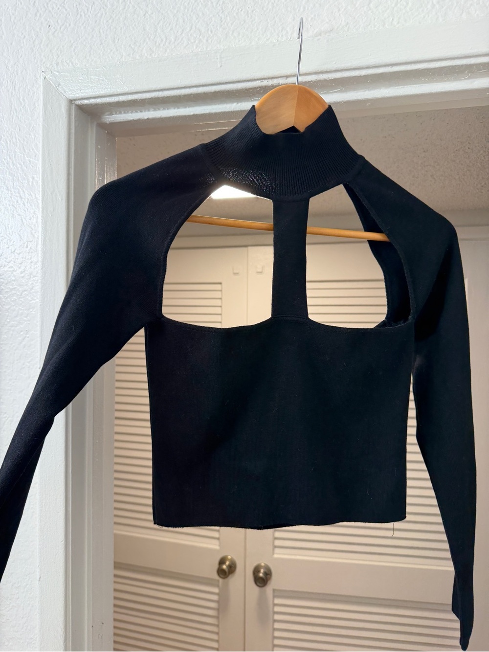 Zara Black Long-Sleeve Cutout Crop Top with Mock Neck
